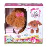 Chi Chi Love Tea Cup Poodle