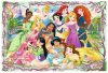 Disney hercegnők találkozója - 260 db-os puzzle Trefl
