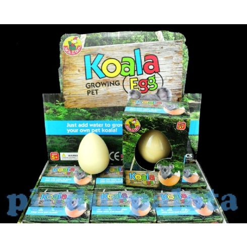 Dinós játékok - Kikelő koala tojás több színben