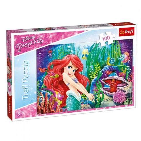 Ariel 100 db-os puzzle - Trefl