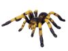 Junior puzzle - 4D Puzzle Tarantula pók