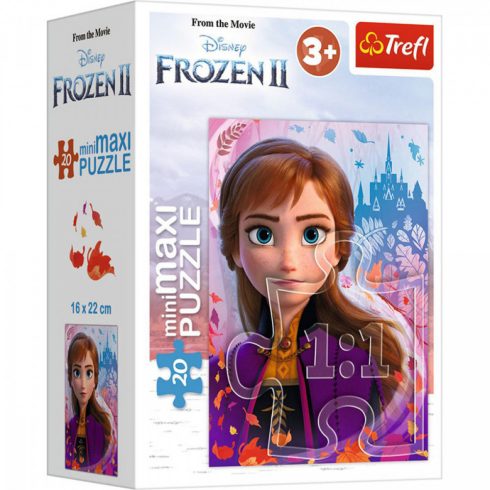 Frozen puzzle Anna