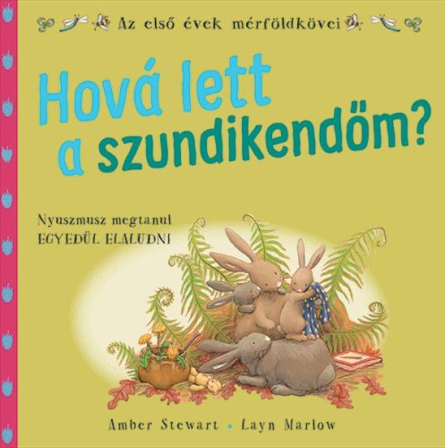 Hová lett a szundikendőm?