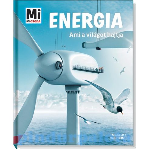Könyvek - Mi MICSODA Energia - Ami a világot hajtja