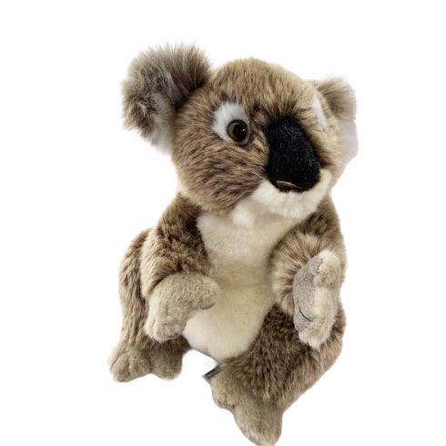 Plüss Koala - 21cm