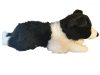 pluss-kutya-border-collie-hasalo-72cm