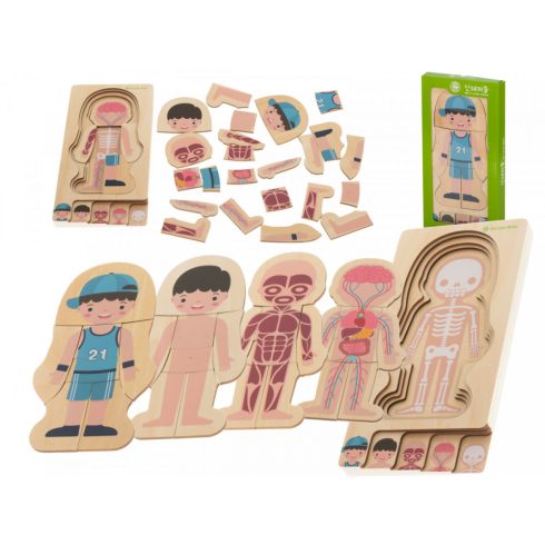 Fa montessori testépítő puzzle - Lányos