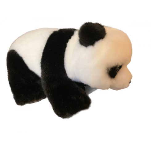 pluss-panda