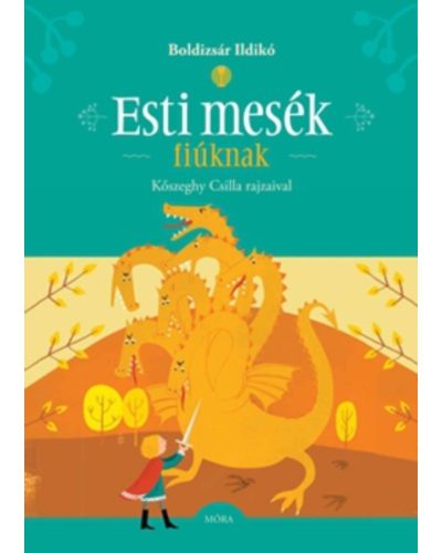 Mesekönyv - Esti mesék fiúknak