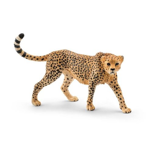Állat figurák - Vadállatok - Schleich Nőstény gepárd műanyag játékfigura